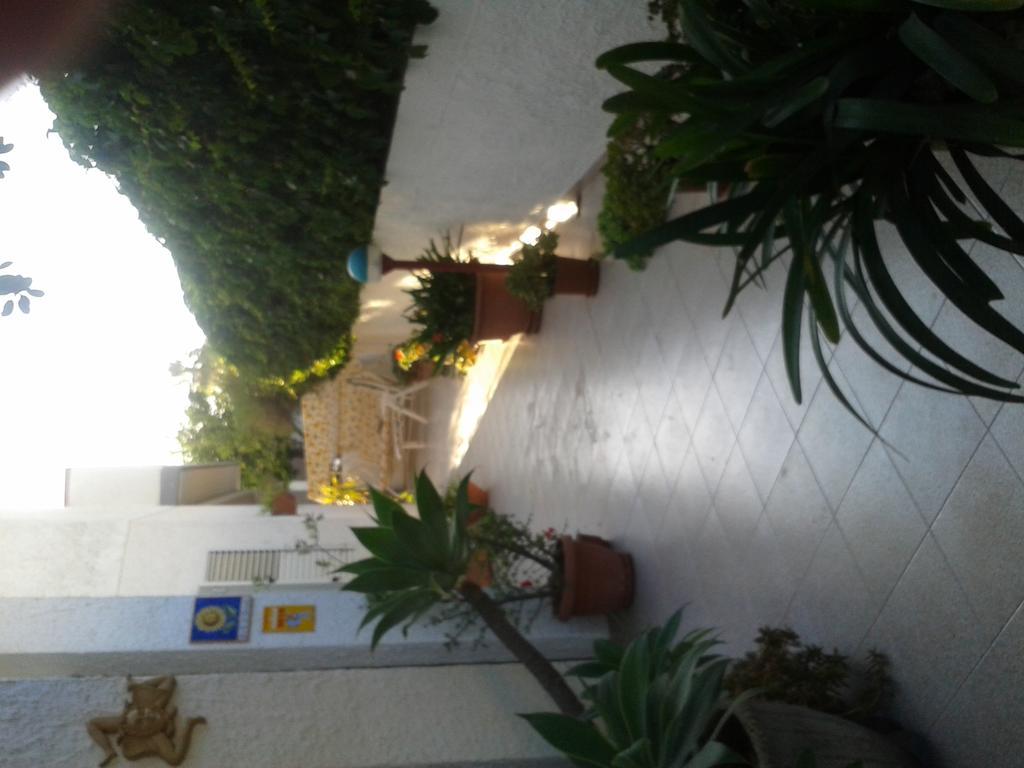 B&B Il Girasole Noto Esterno foto