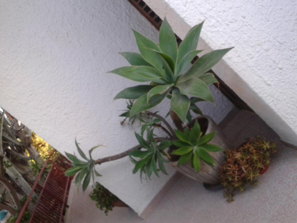 B&B Il Girasole Noto Esterno foto