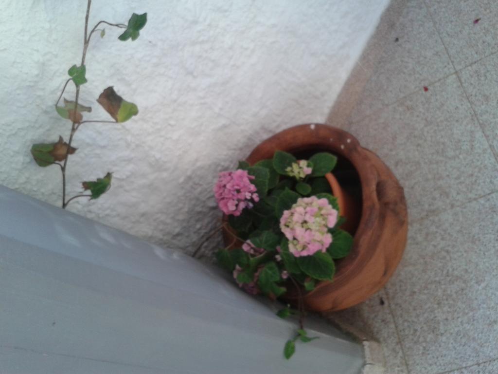 B&B Il Girasole Noto Esterno foto
