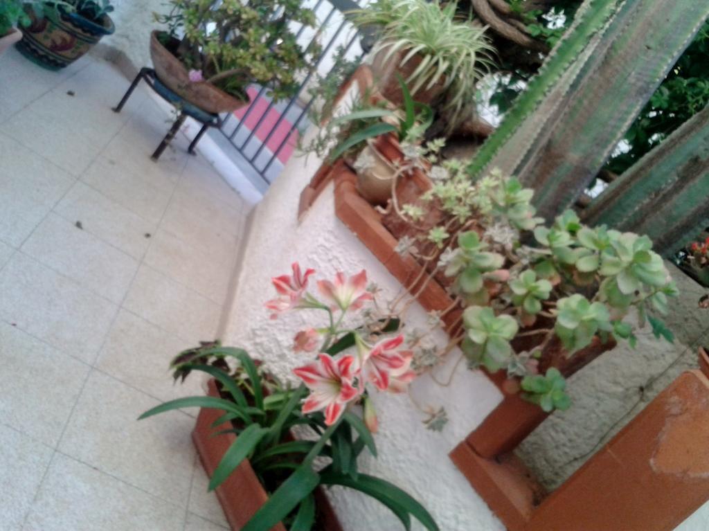 B&B Il Girasole Noto Esterno foto